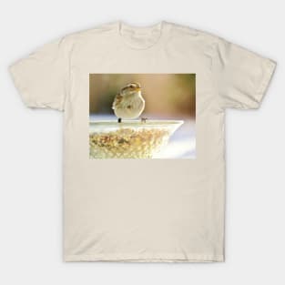 Seeds to Savour No.9 Sparrow T-Shirt